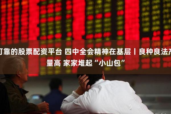 可靠的股票配资平台 四中全会精神在基层丨良种良法产量高 家家堆起“小山包”