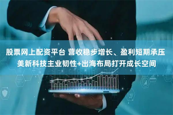 股票网上配资平台 营收稳步增长、盈利短期承压 美新科技主业韧性+出海布局打开成长空间