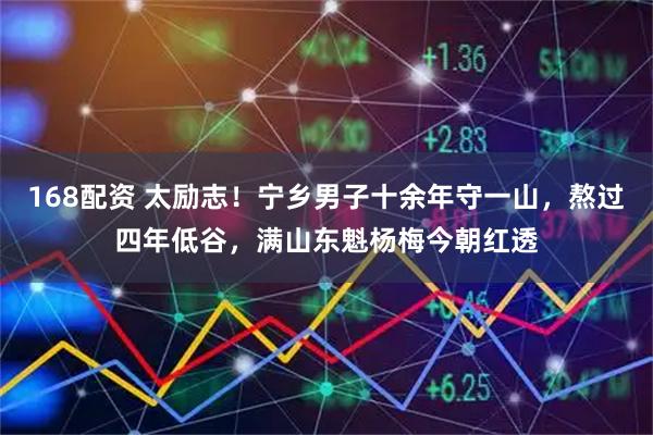168配资 太励志！宁乡男子十余年守一山，熬过四年低谷，满山东魁杨梅今朝红透